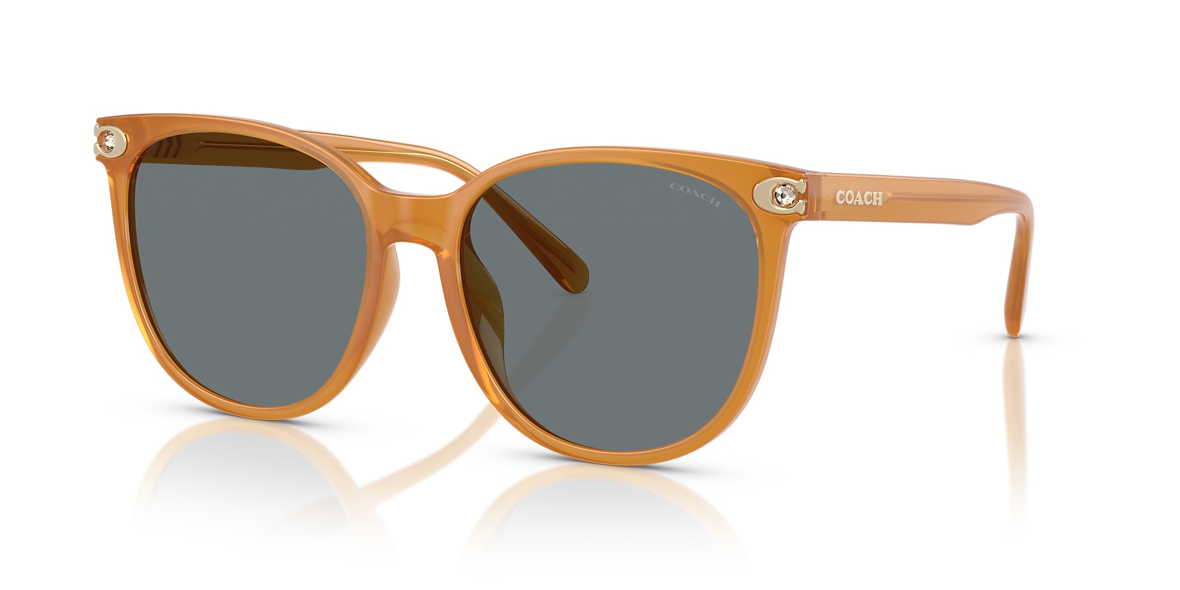 Coach Sunglasses HC8414BD CW428