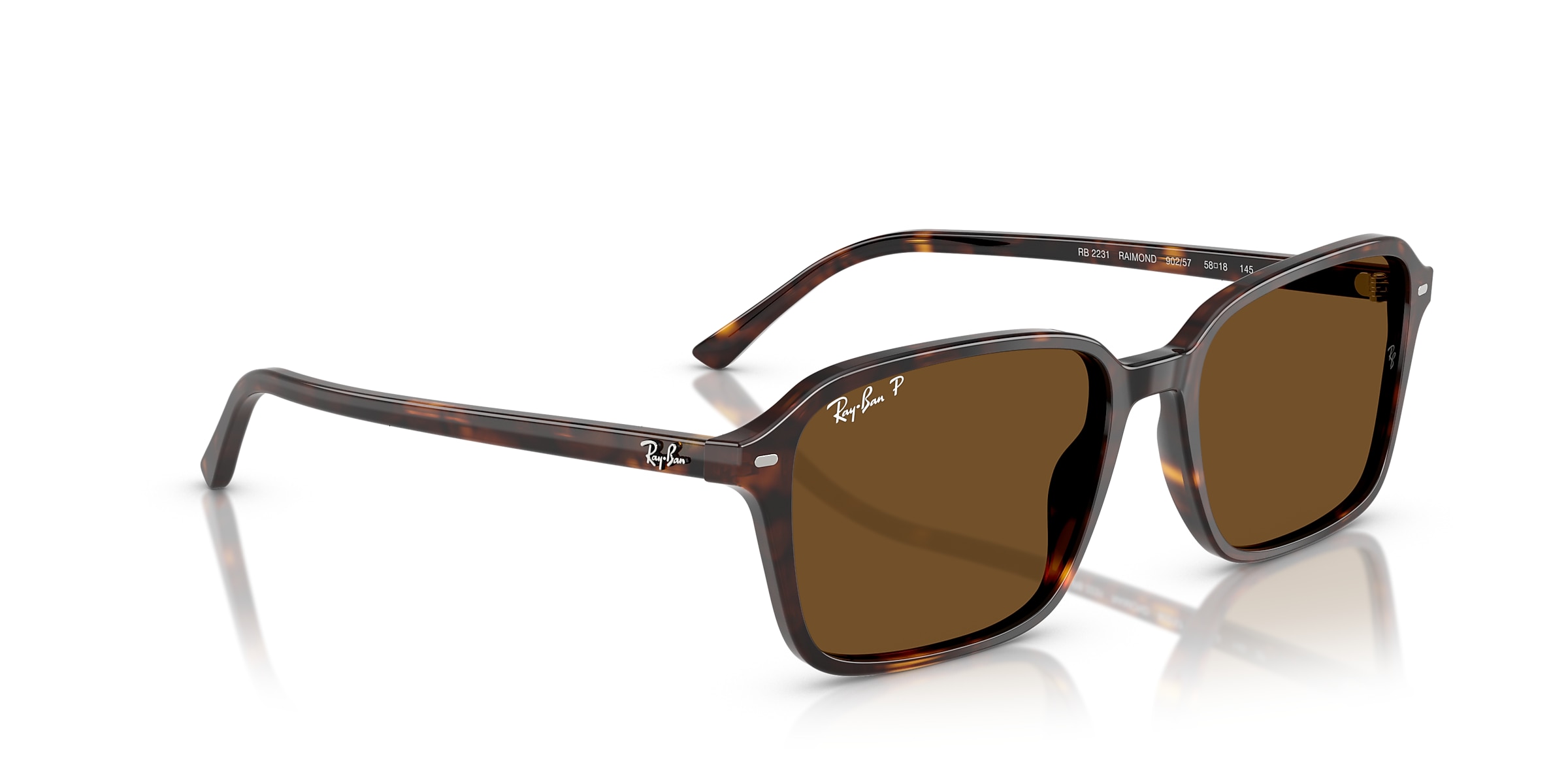 Ray-Ban Sunglasses RB2231 RAIMOND