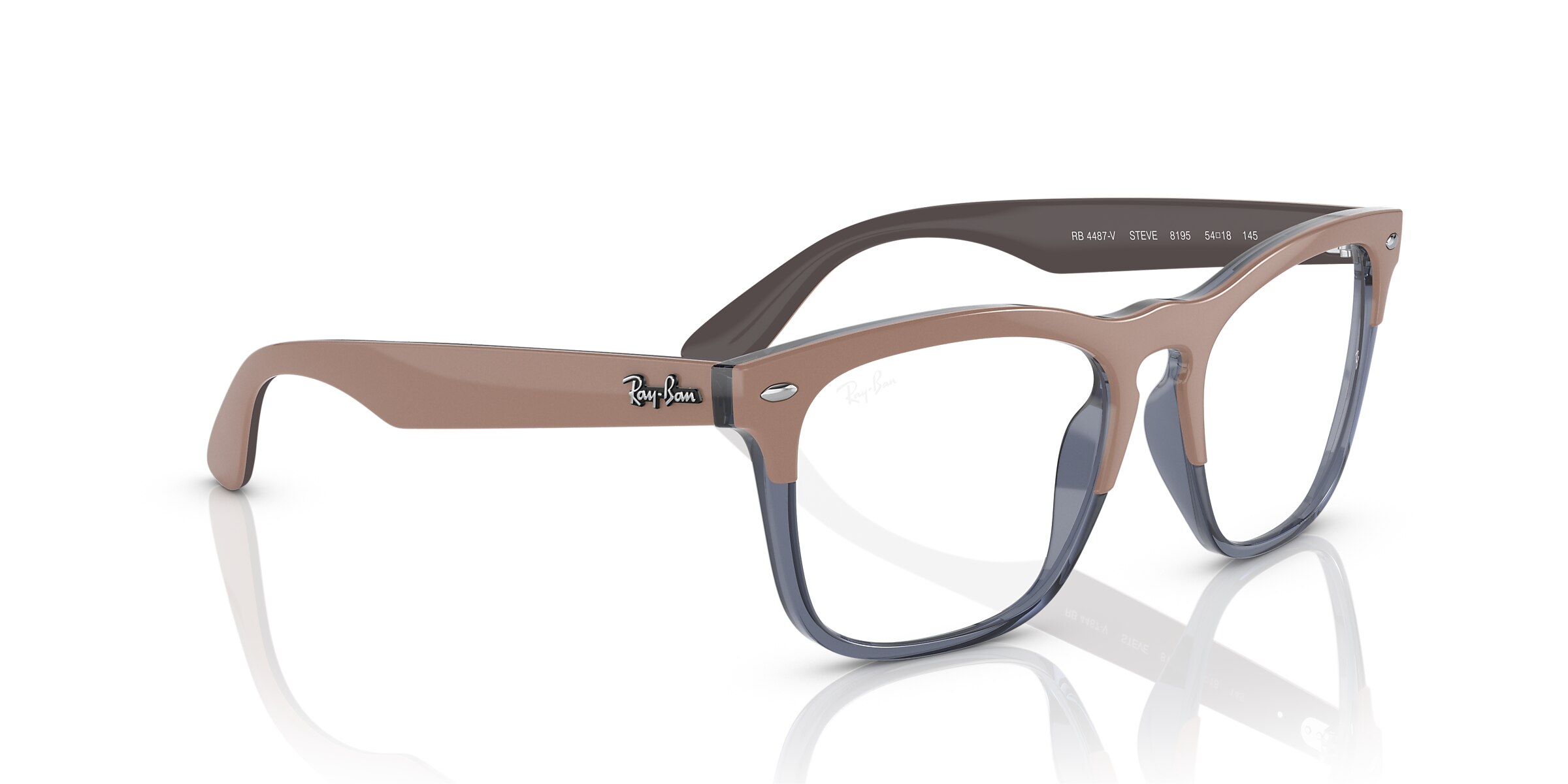 Ray-Ban Glasses RB4487V STEVE OPTICS