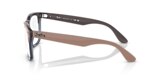 RB4487V STEVE OPTICS