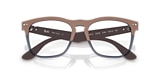 RB4487V STEVE OPTICS