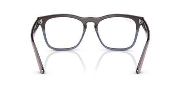 RB4487V STEVE OPTICS