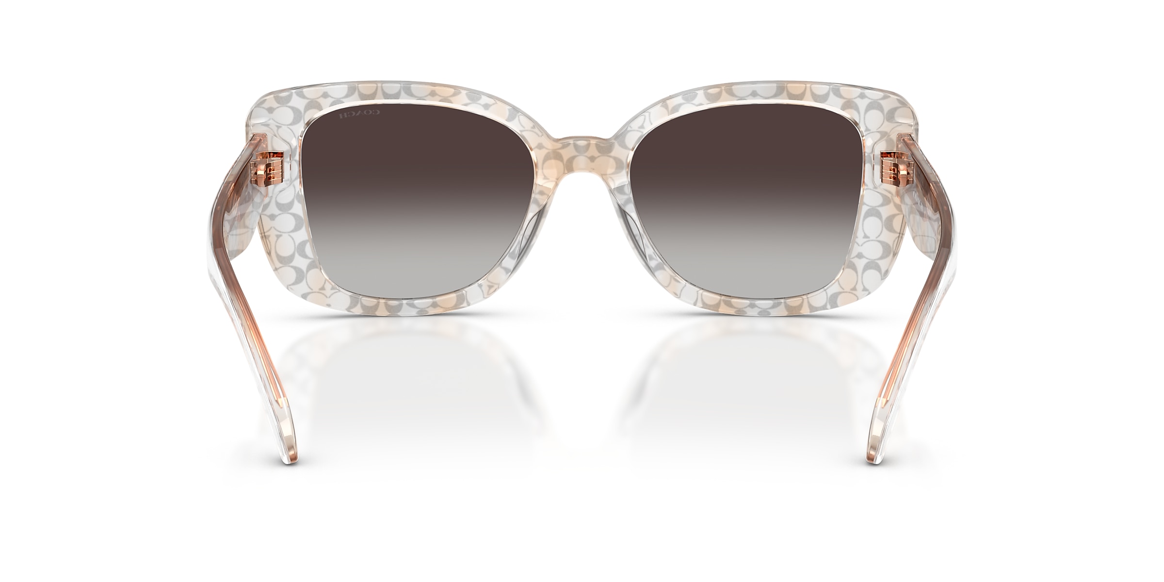 Coach Sunglasses HC8450U CDP48