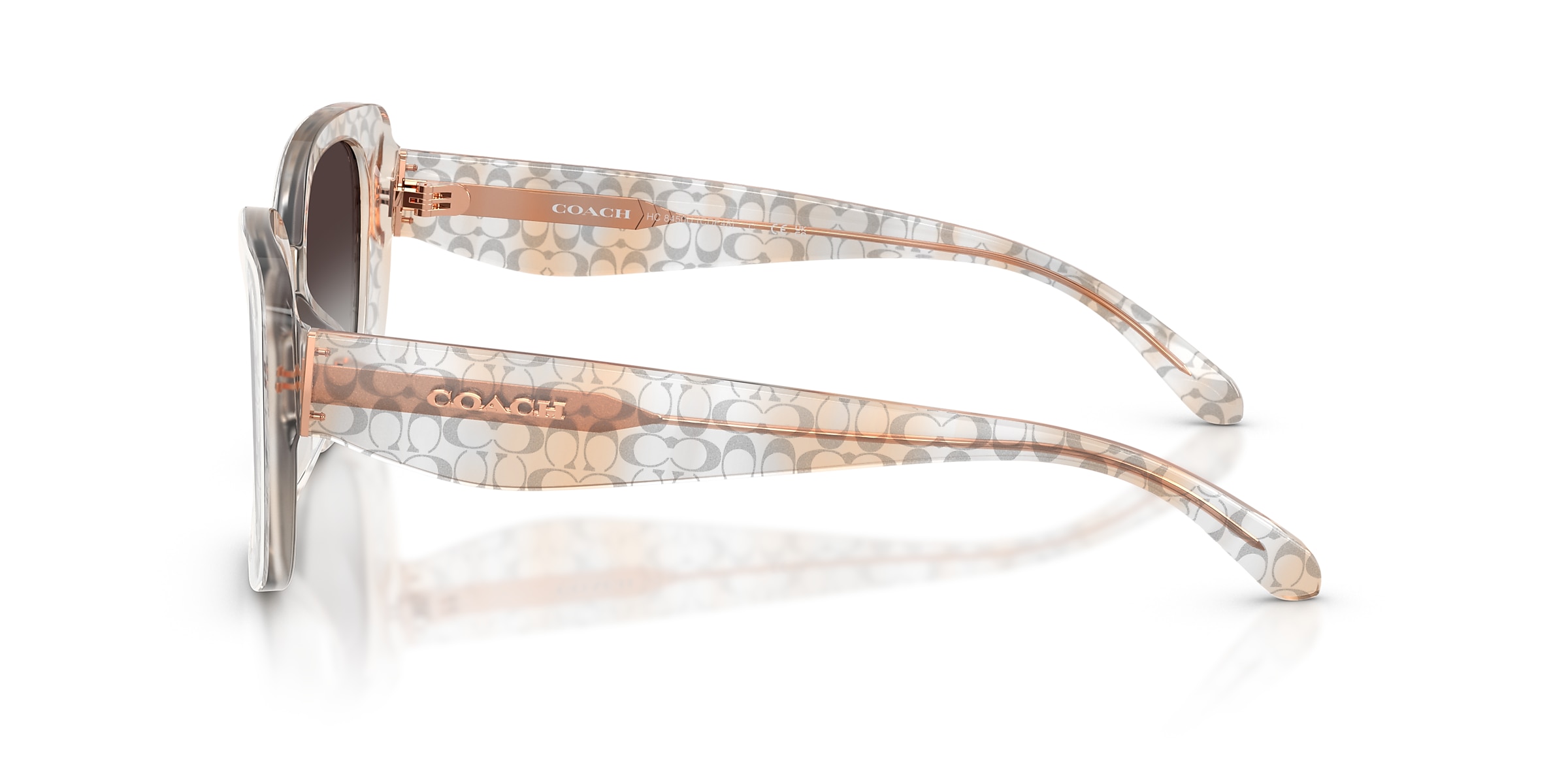 Coach Sunglasses HC8450U CDP48