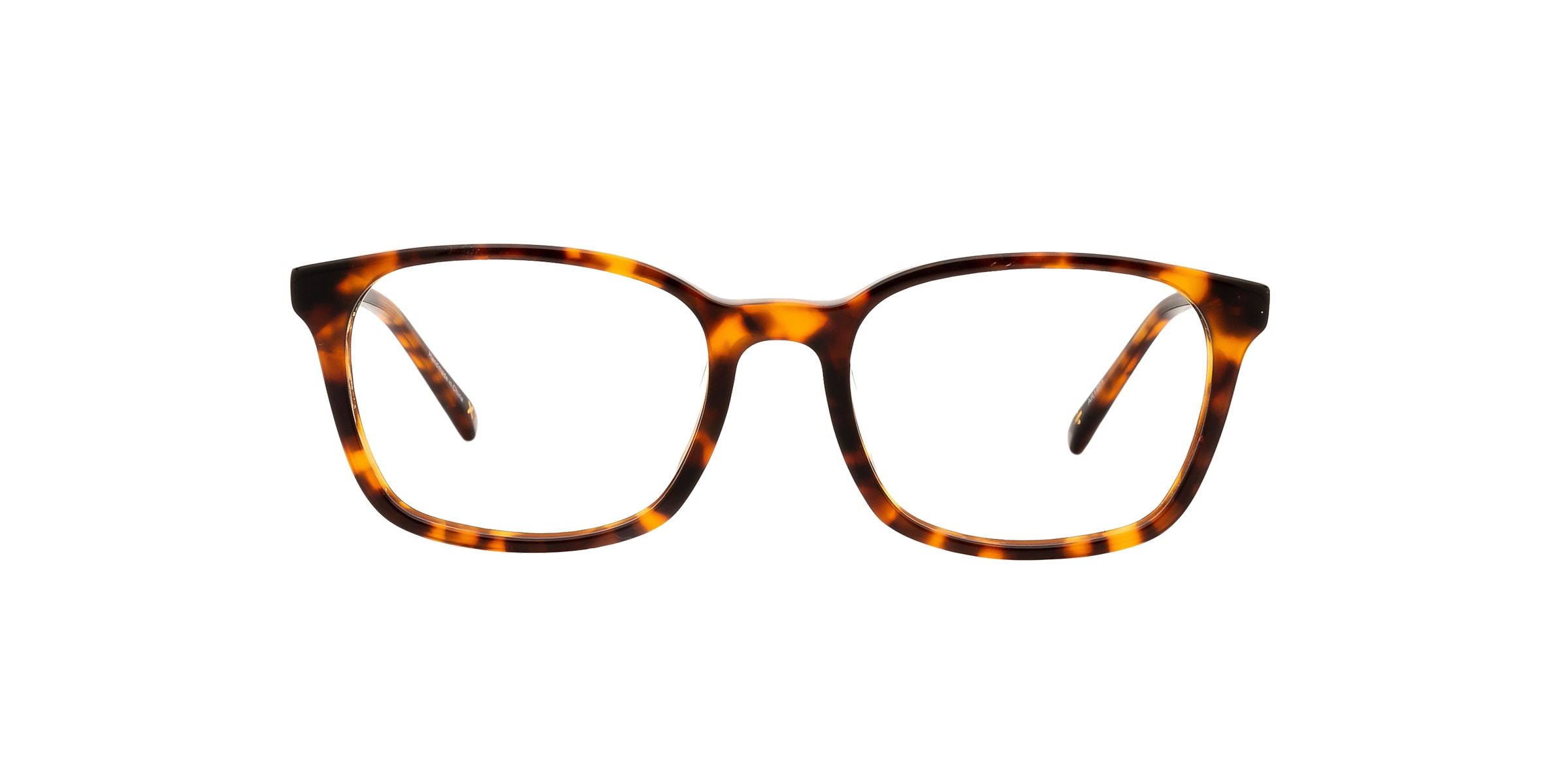 Clearly Glasses TARVOS