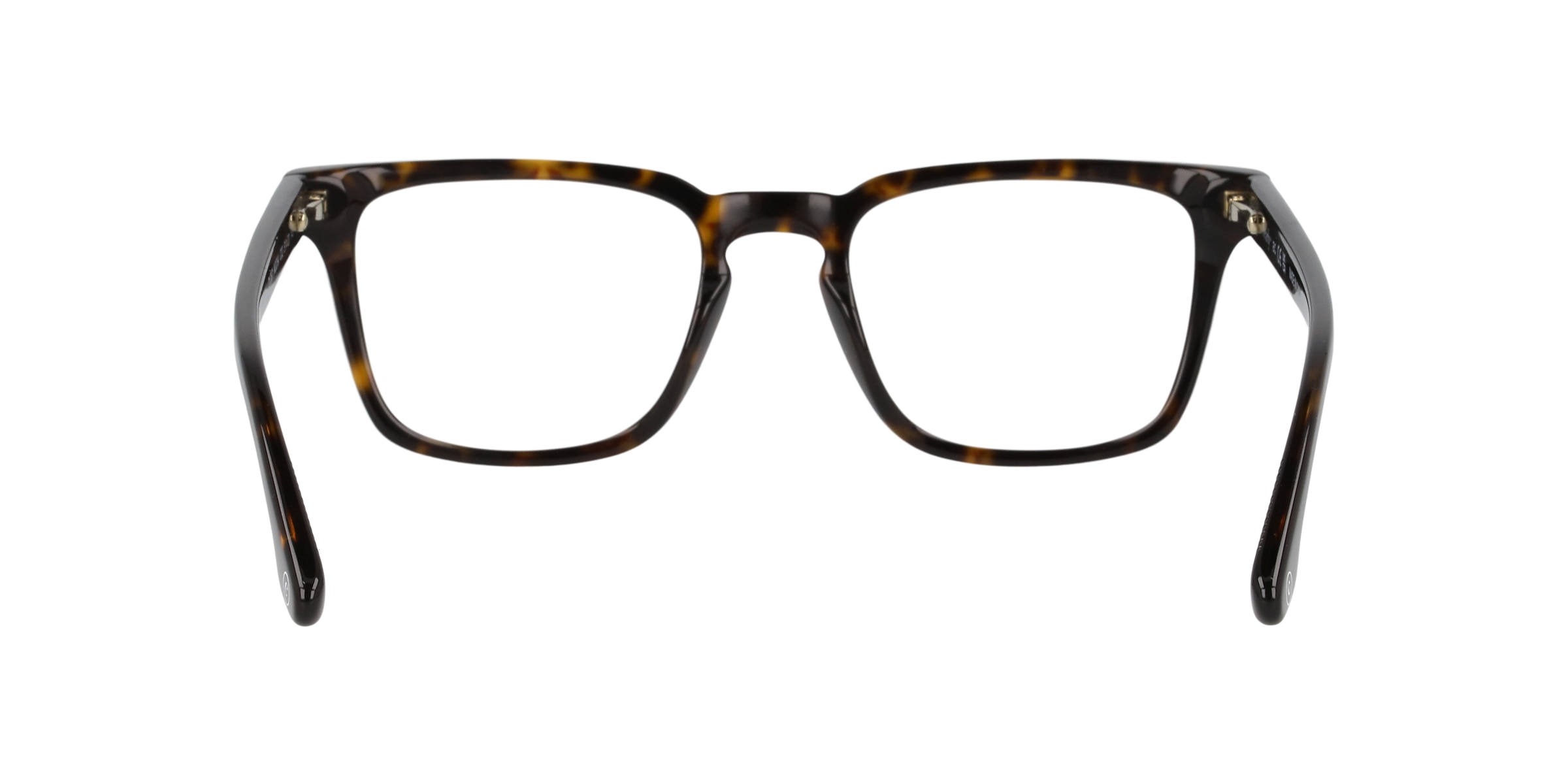 Clearly Glasses MOCHA