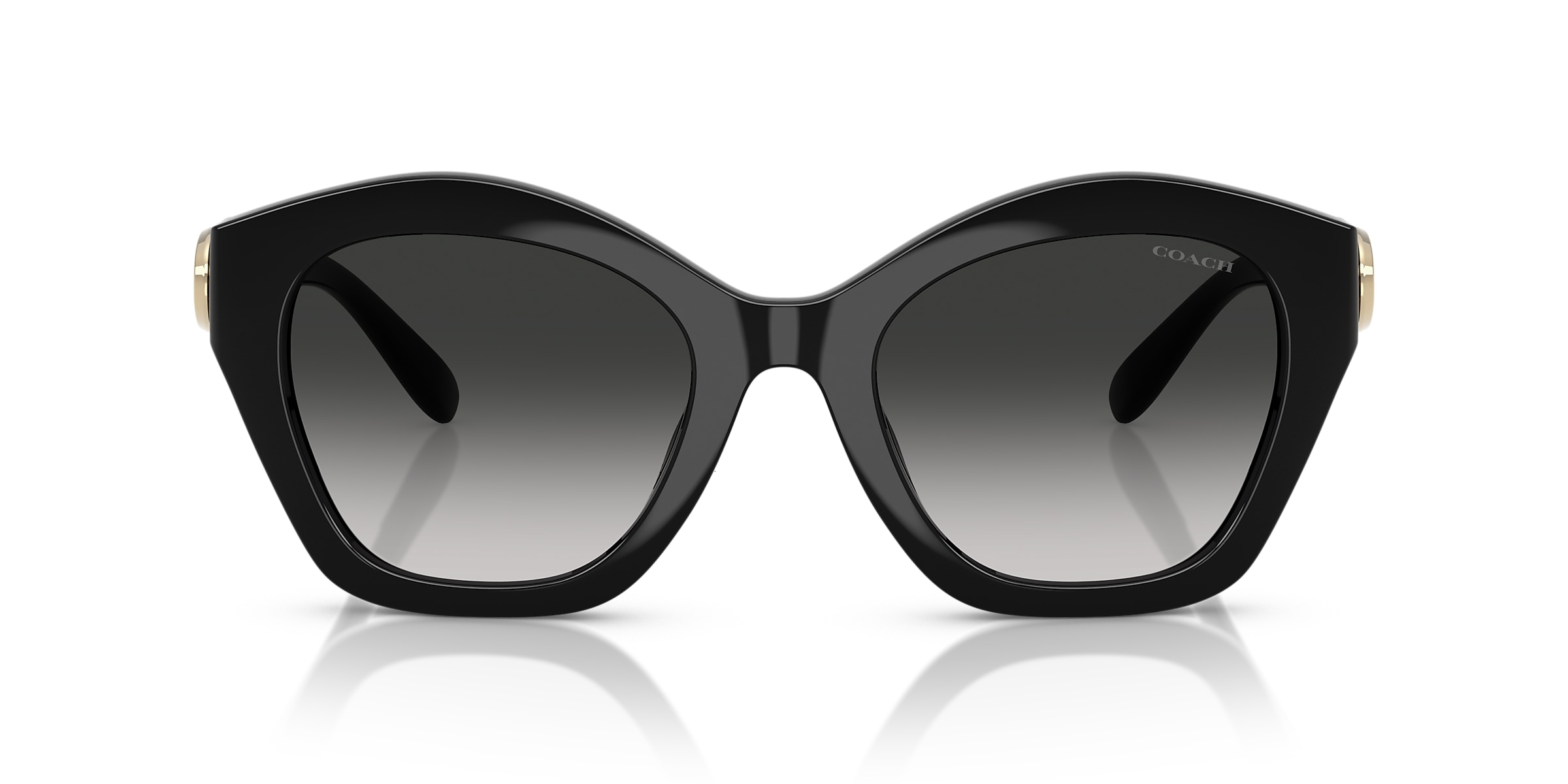 Coach Sunglasses HC8421U CAD31