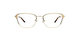 kam dhillon Glasses jane