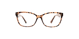 clearly Glasses kerrisdale