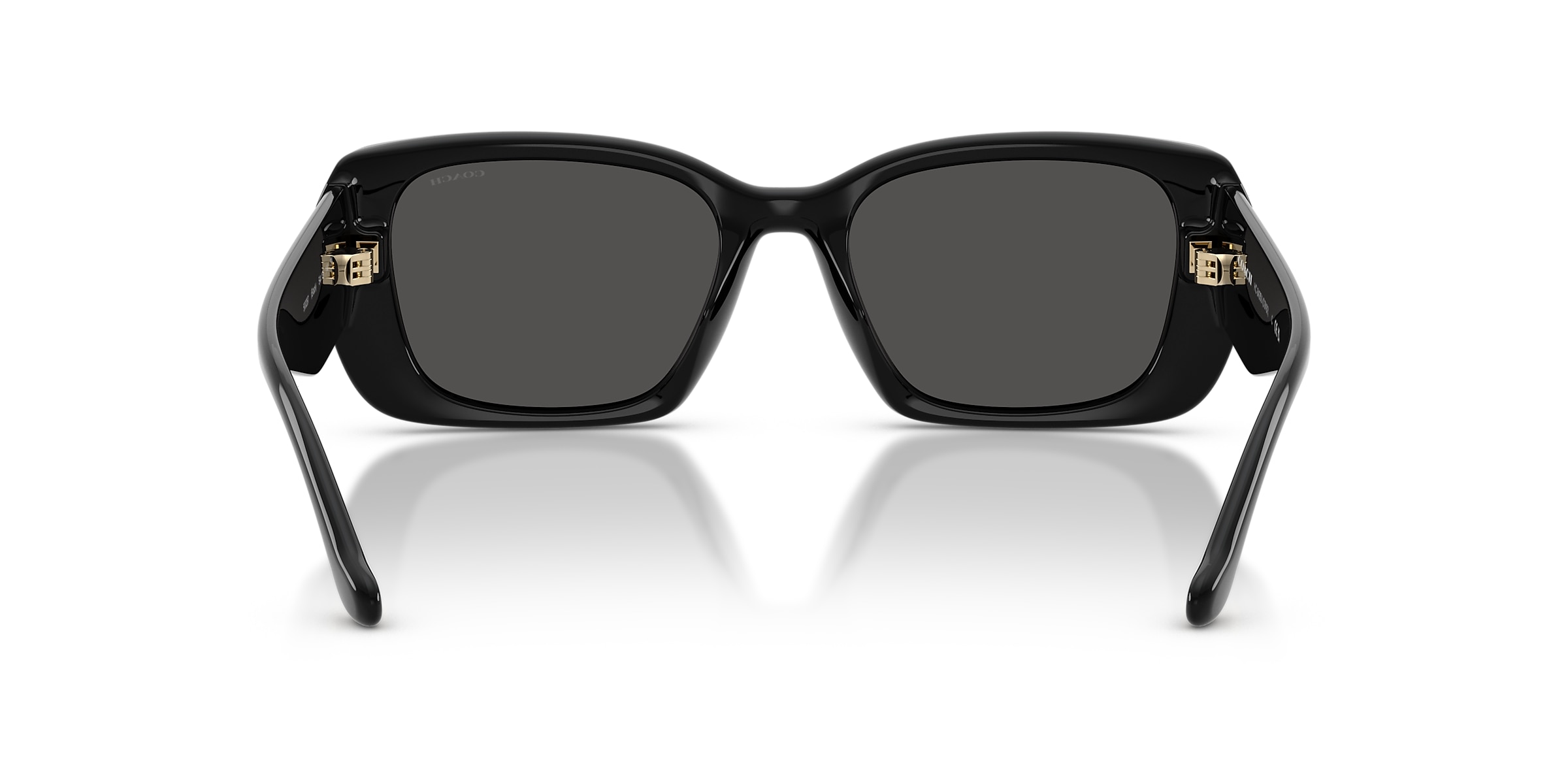 Coach Sunglasses HC8435U CBY82