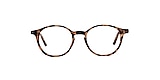 Clearly Glasses CARLYLE