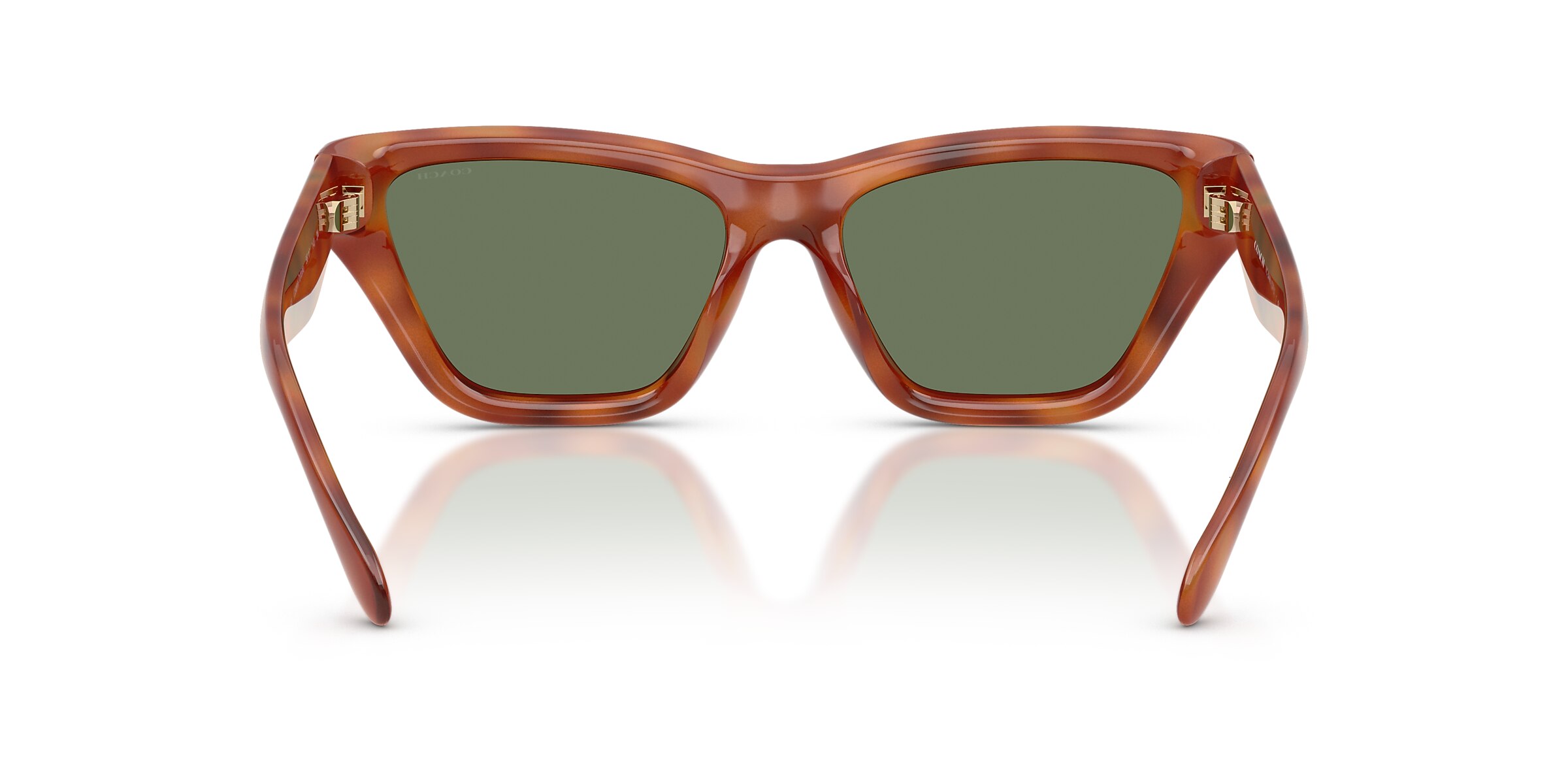 Coach Sunglasses HC8449U CDP33
