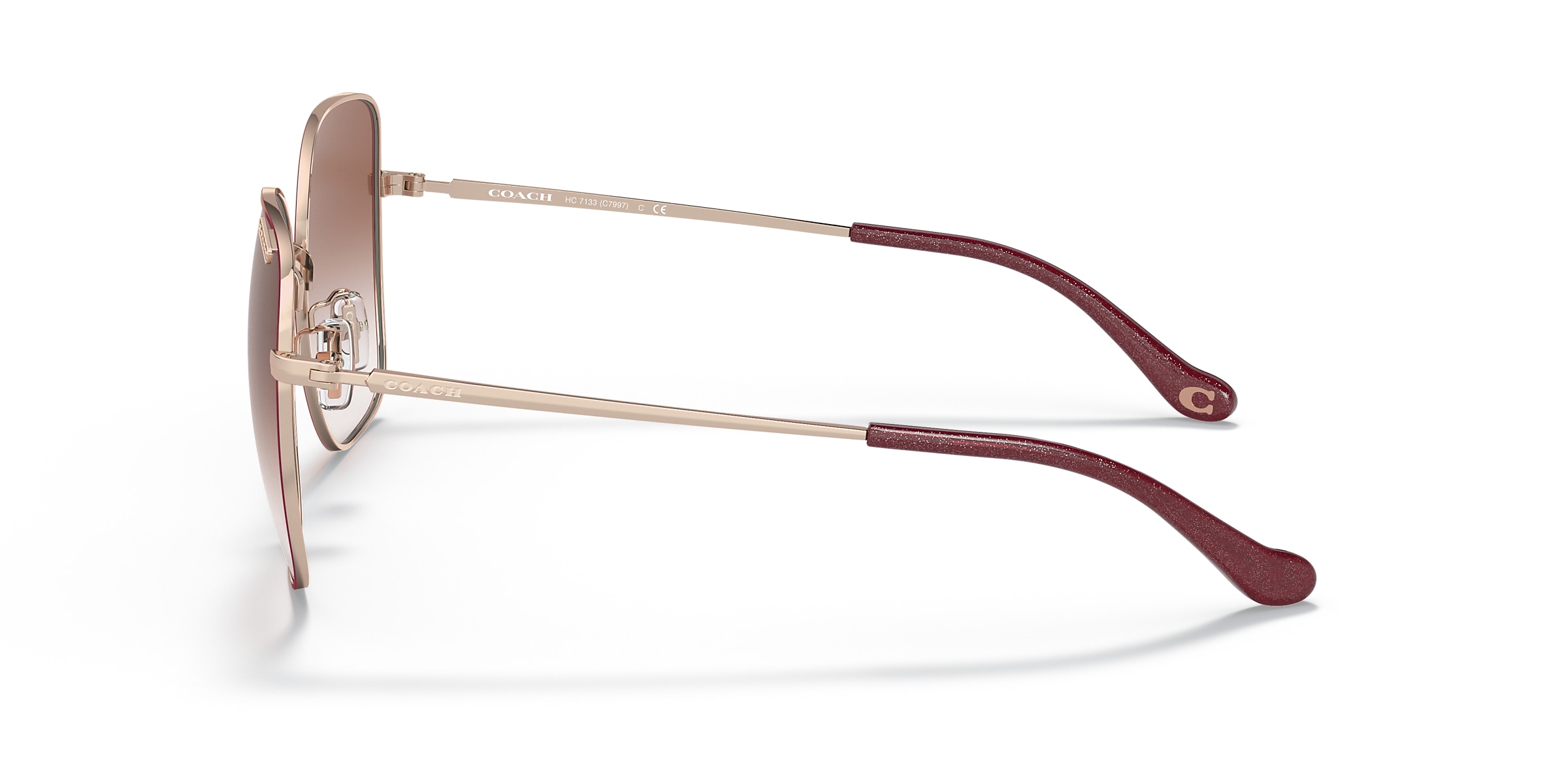 Coach Sunglasses HC7133 C7997