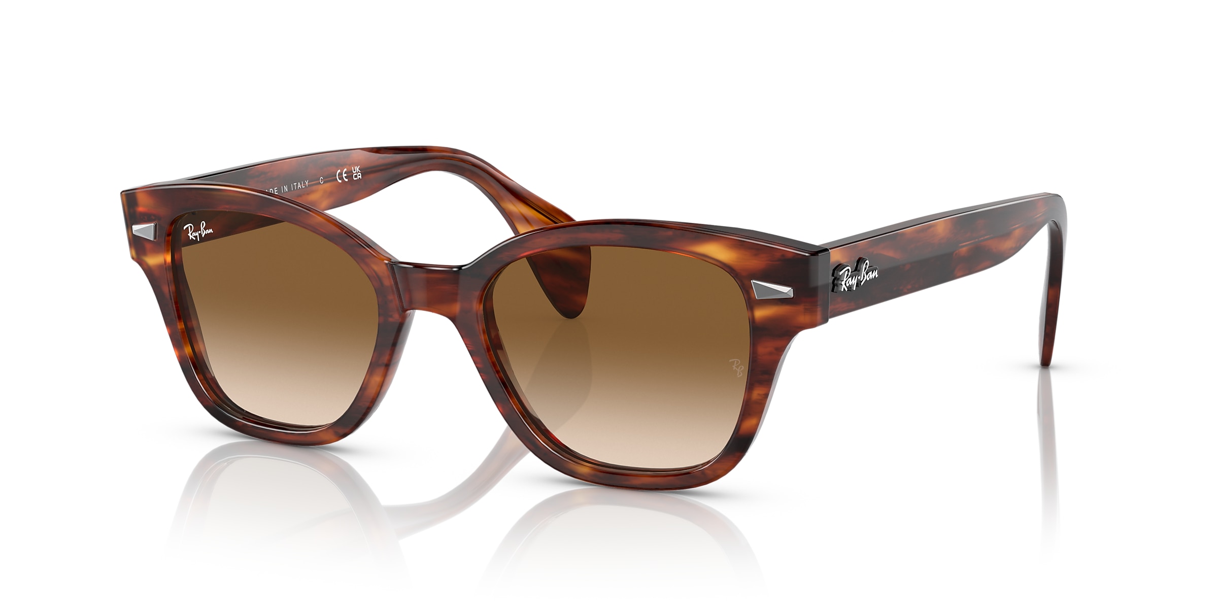 Ray-Ban Sunglasses RB0880S
