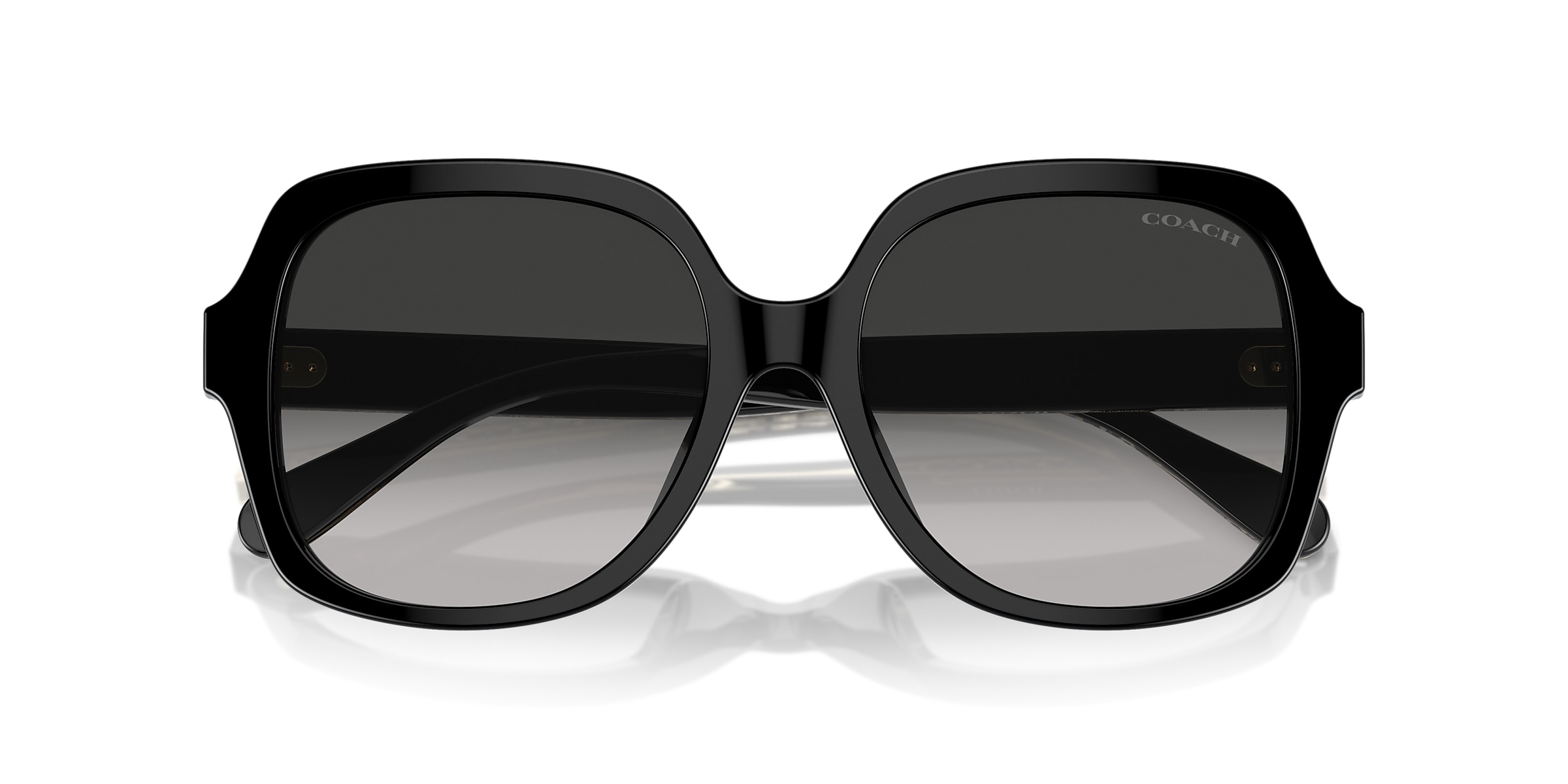 Coach Sunglasses HC8395U CR614