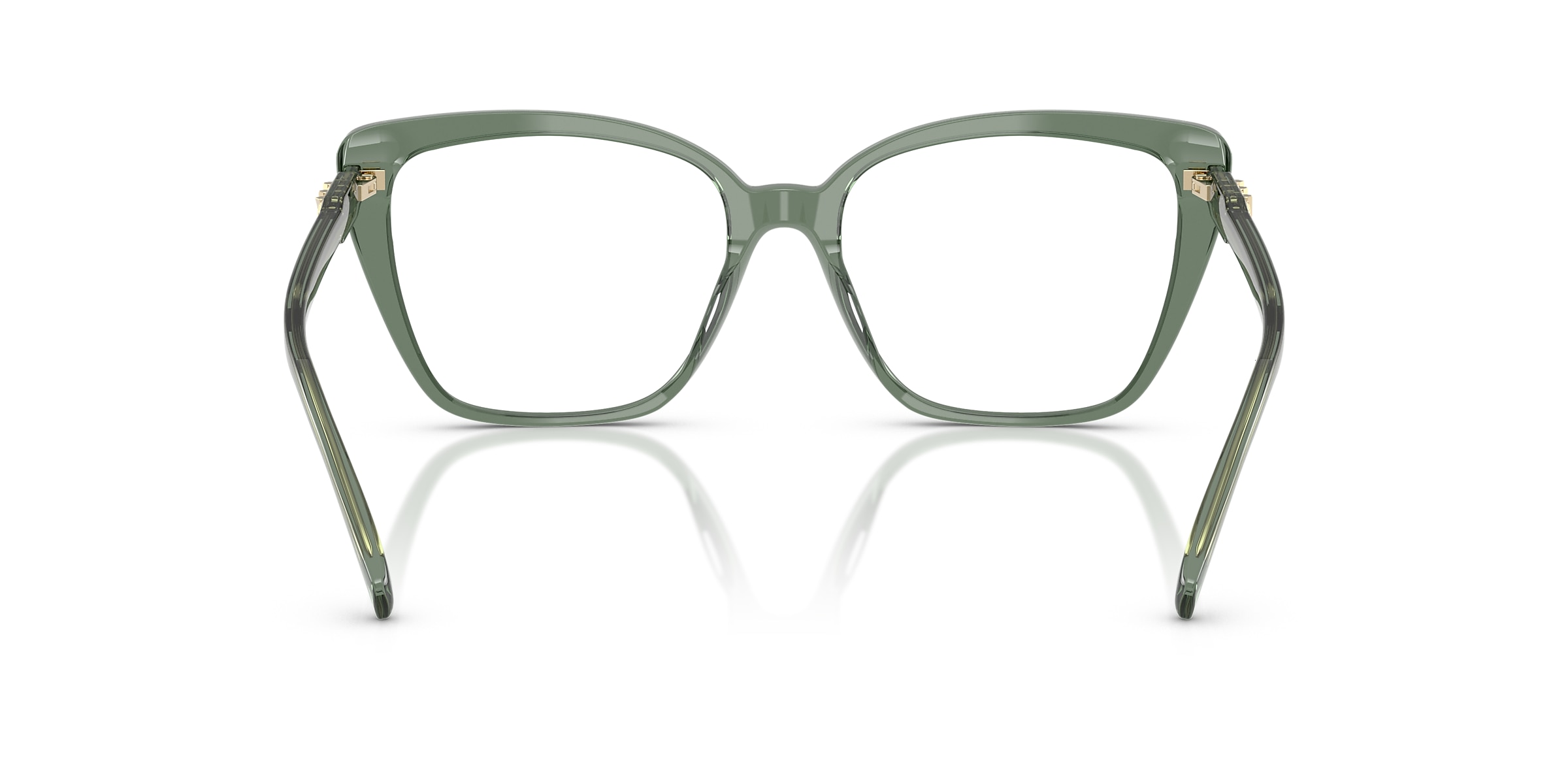 Michael Kors Glasses MK4110U AVILA