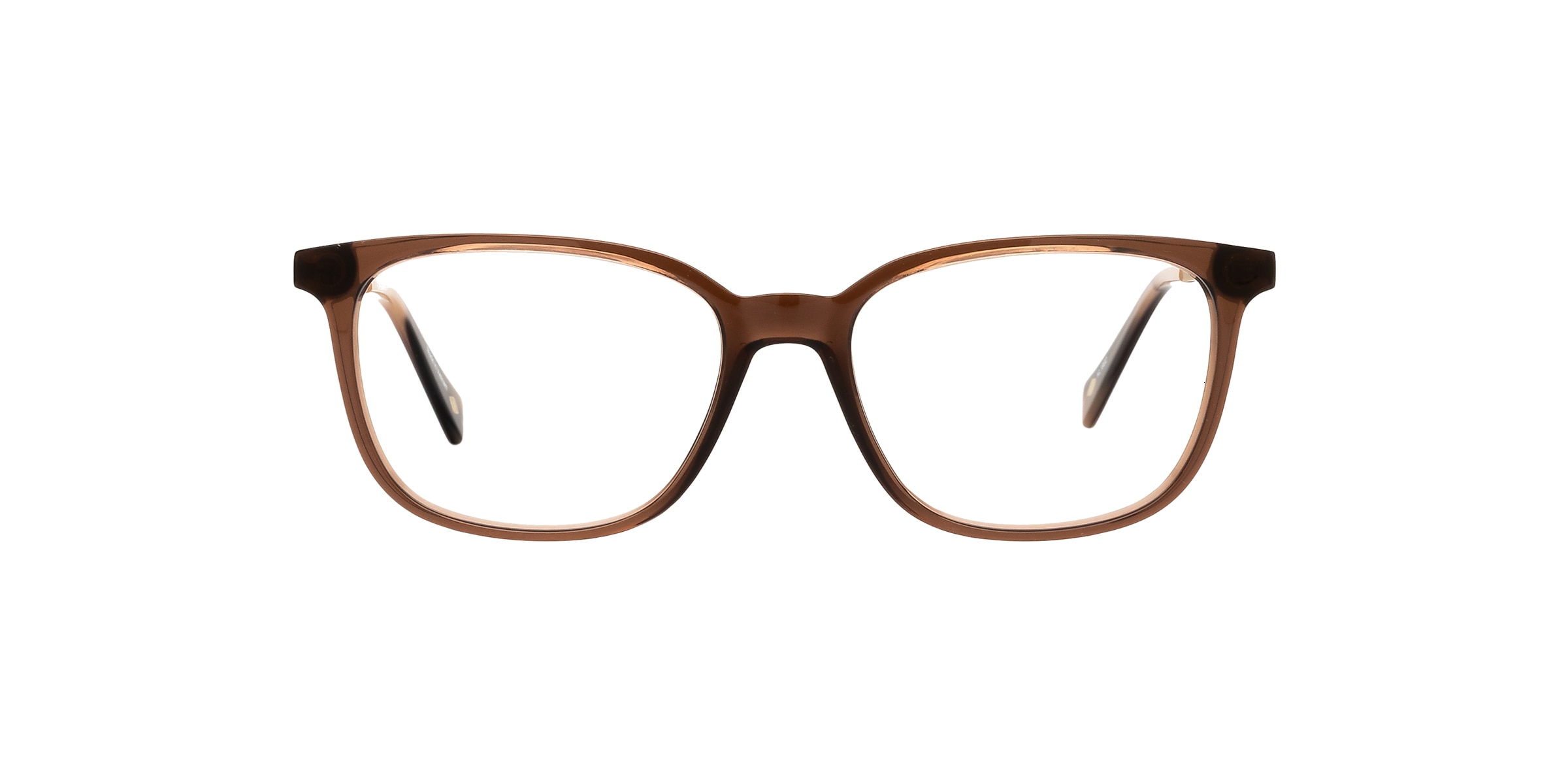 Clearly Glasses ARDEE