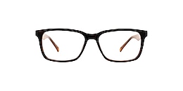 main and central Glasses torrens creek