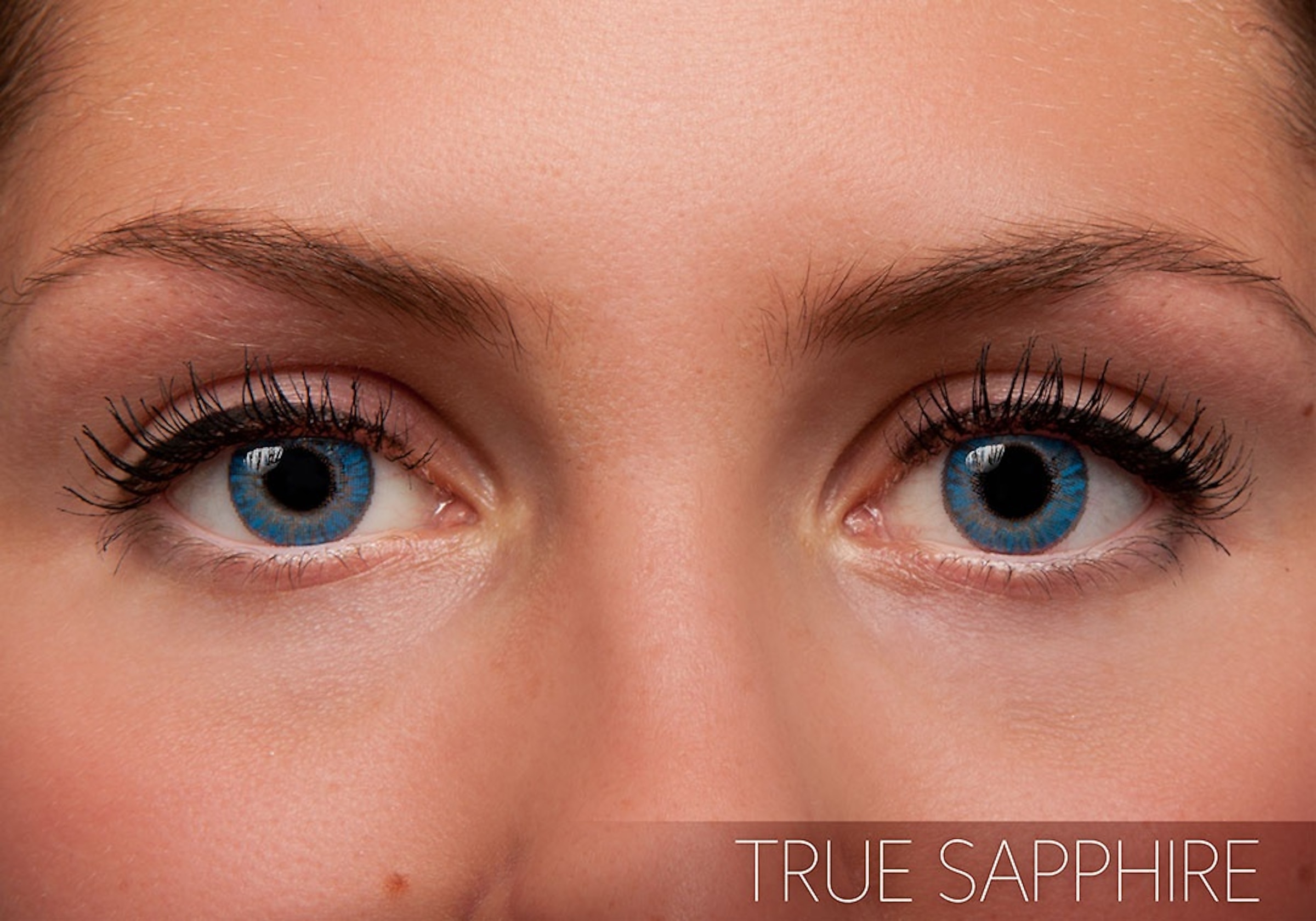 Alcon Contacts FreshLook Colorblends 6