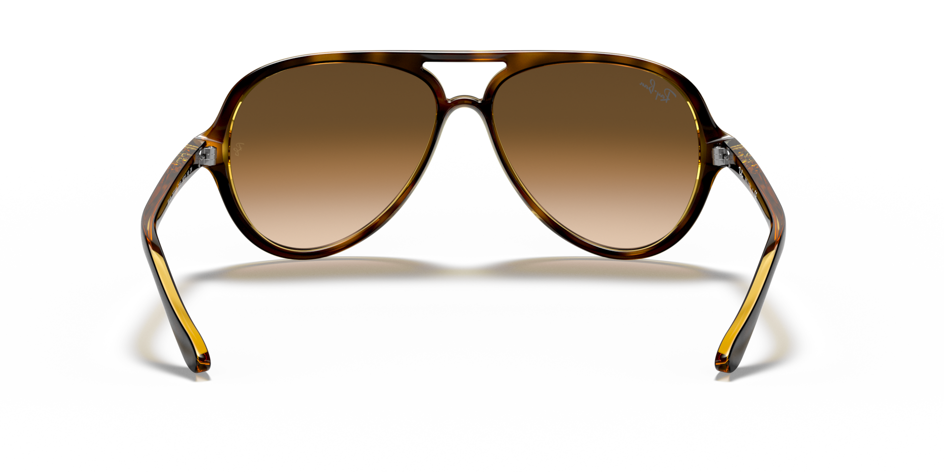 Ray-Ban RB4125 CATS 5000 CLASSIC Sunglasses | Clearly