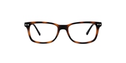 Clearly Glasses ALMONTE