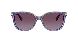 Coach Sunglasses HC8132 L109