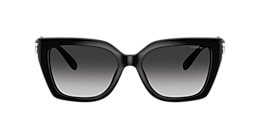 Coach Sunglasses HC8408U CW195