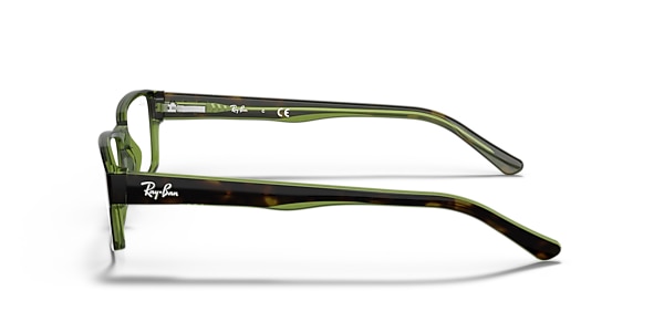 RB5169 OPTICS