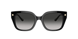Coach Sunglasses HC8392U CR611