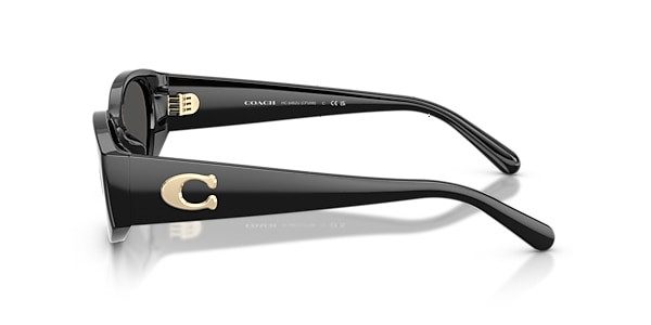 Coach Sunglasses HC8462U CFU06