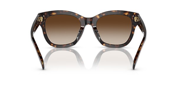 Ralph Sunglasses RA5301U