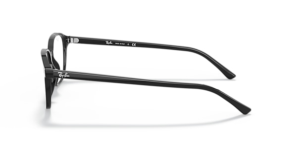 RB5393 LEONARD OPTICS
