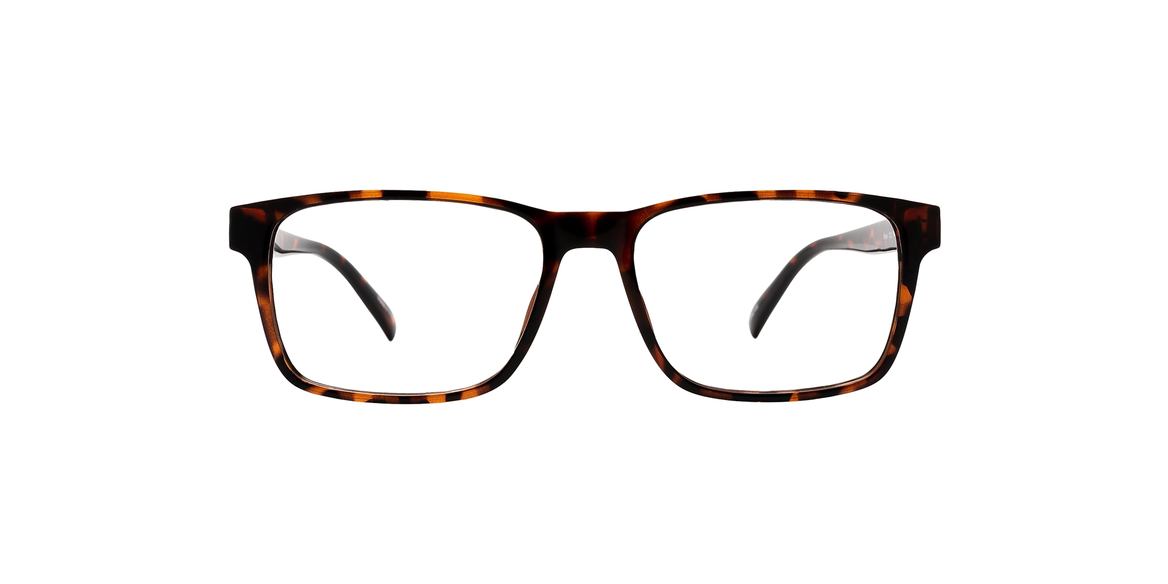 Clearly Glasses PETREL