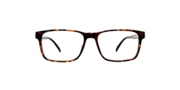 Clearly Glasses PETREL