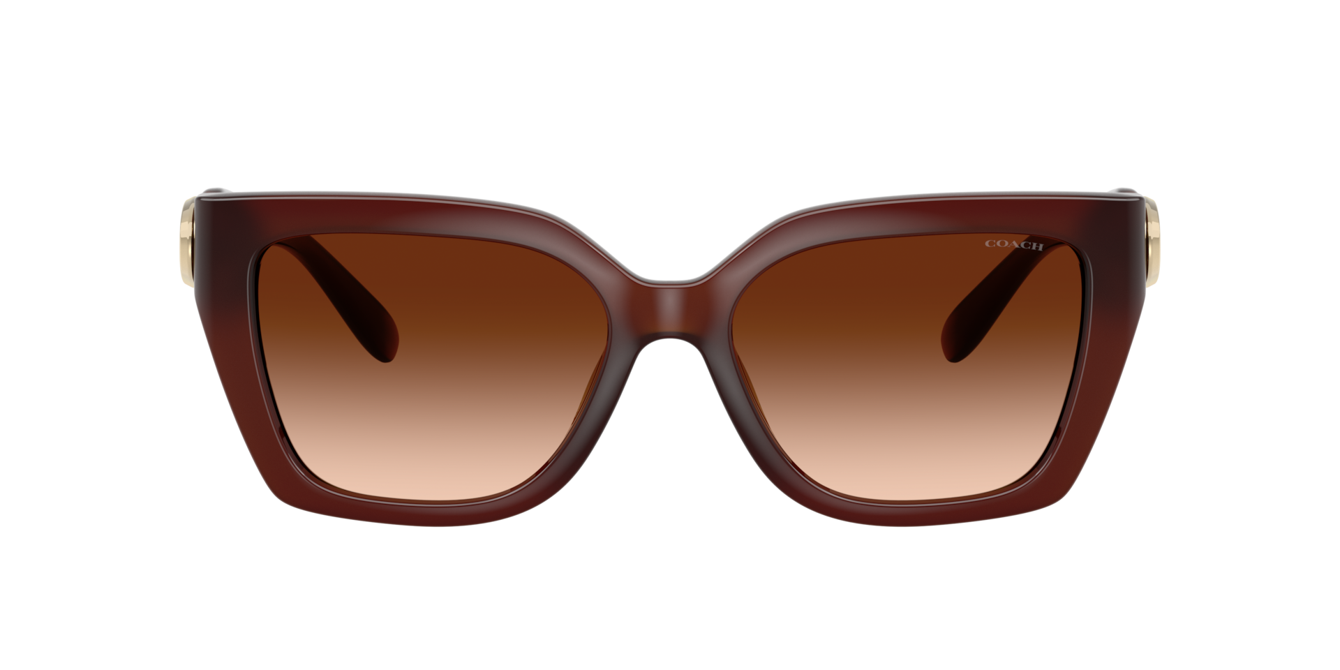 Coach HC8408U CW195 Sunglasses | Clearly