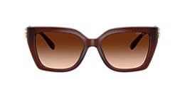 Coach Sunglasses HC8408U CW195