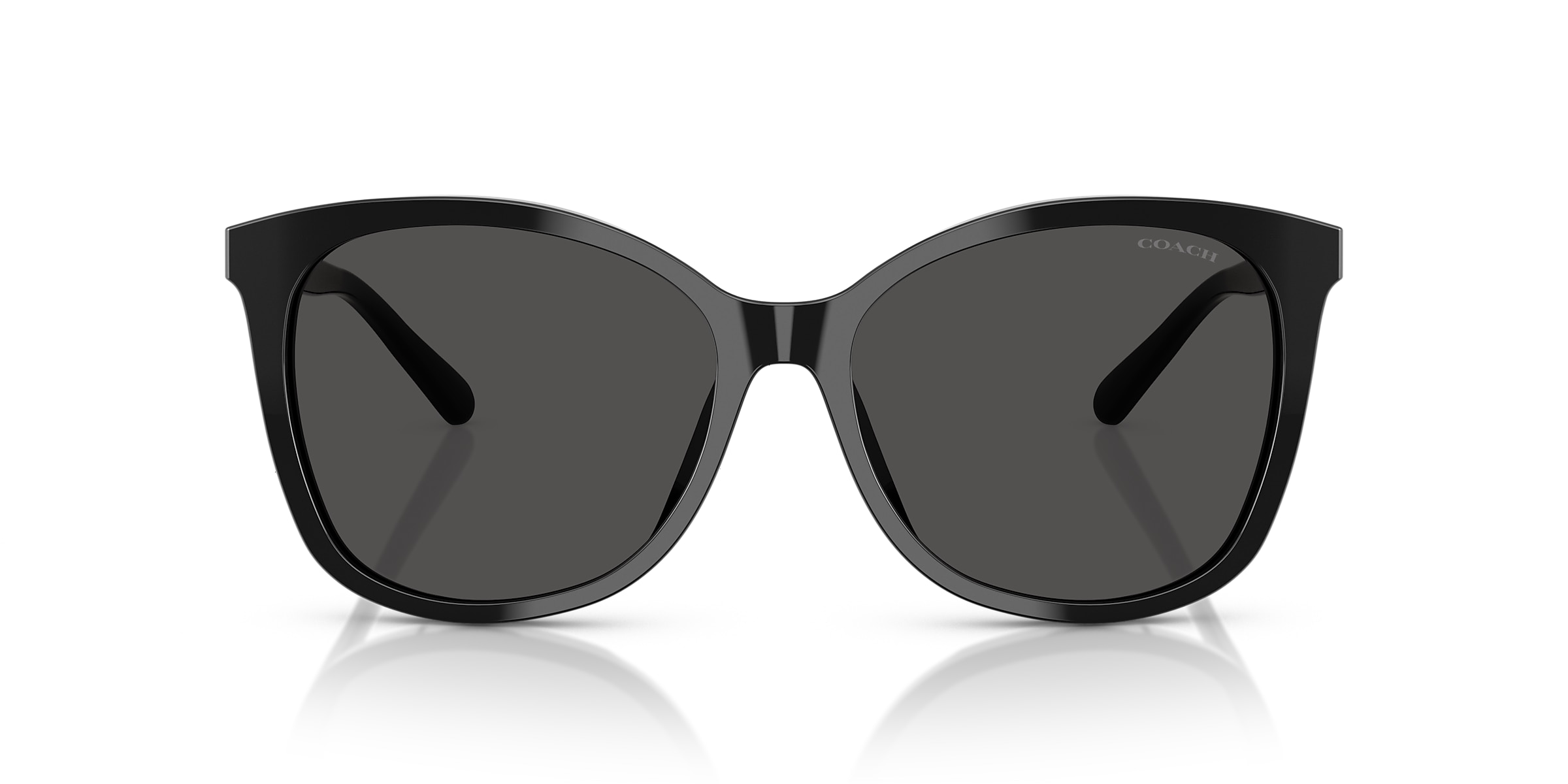 Coach Sunglasses HC8271U L1101