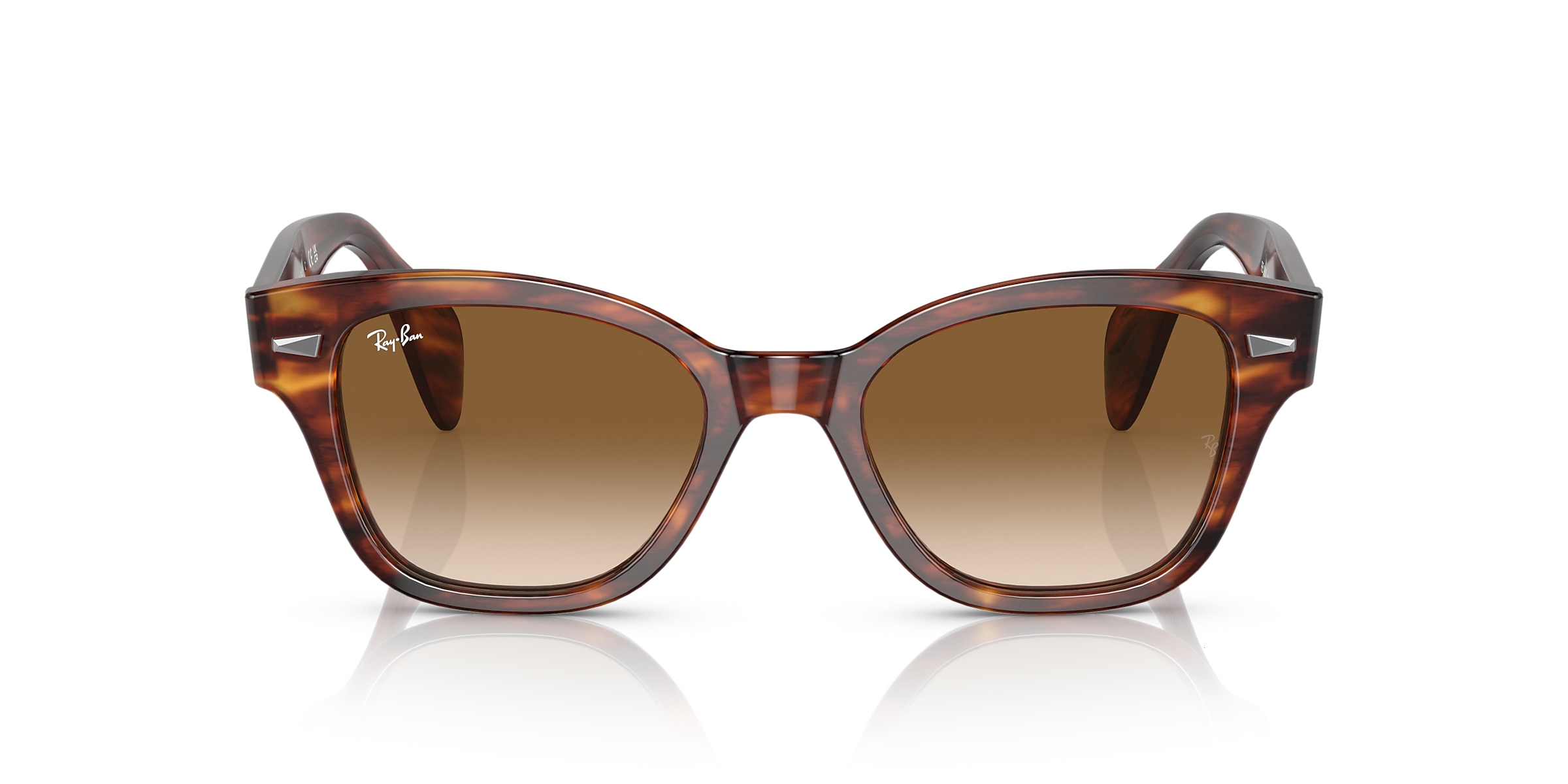 Ray-Ban Sunglasses RB0880S