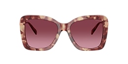 Coach Sunglasses HC8461U CFU03