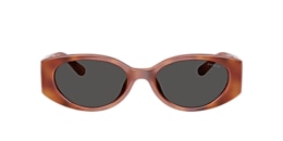 Coach Sunglasses HC8462U CFU06