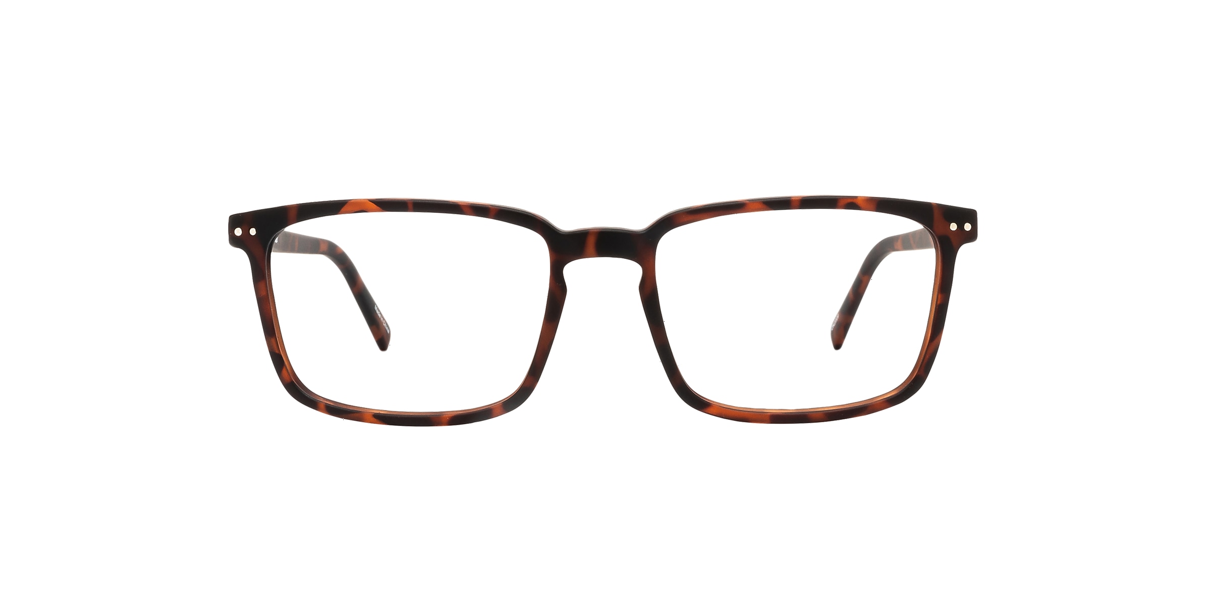Clearly Glasses CURLEW