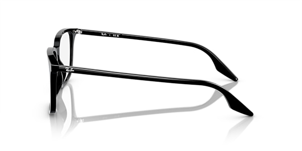 RB5421 OPTICS