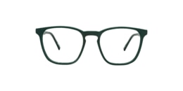 Clearly Glasses PITTA
