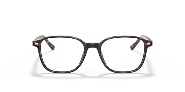 RB5393 LEONARD OPTICS