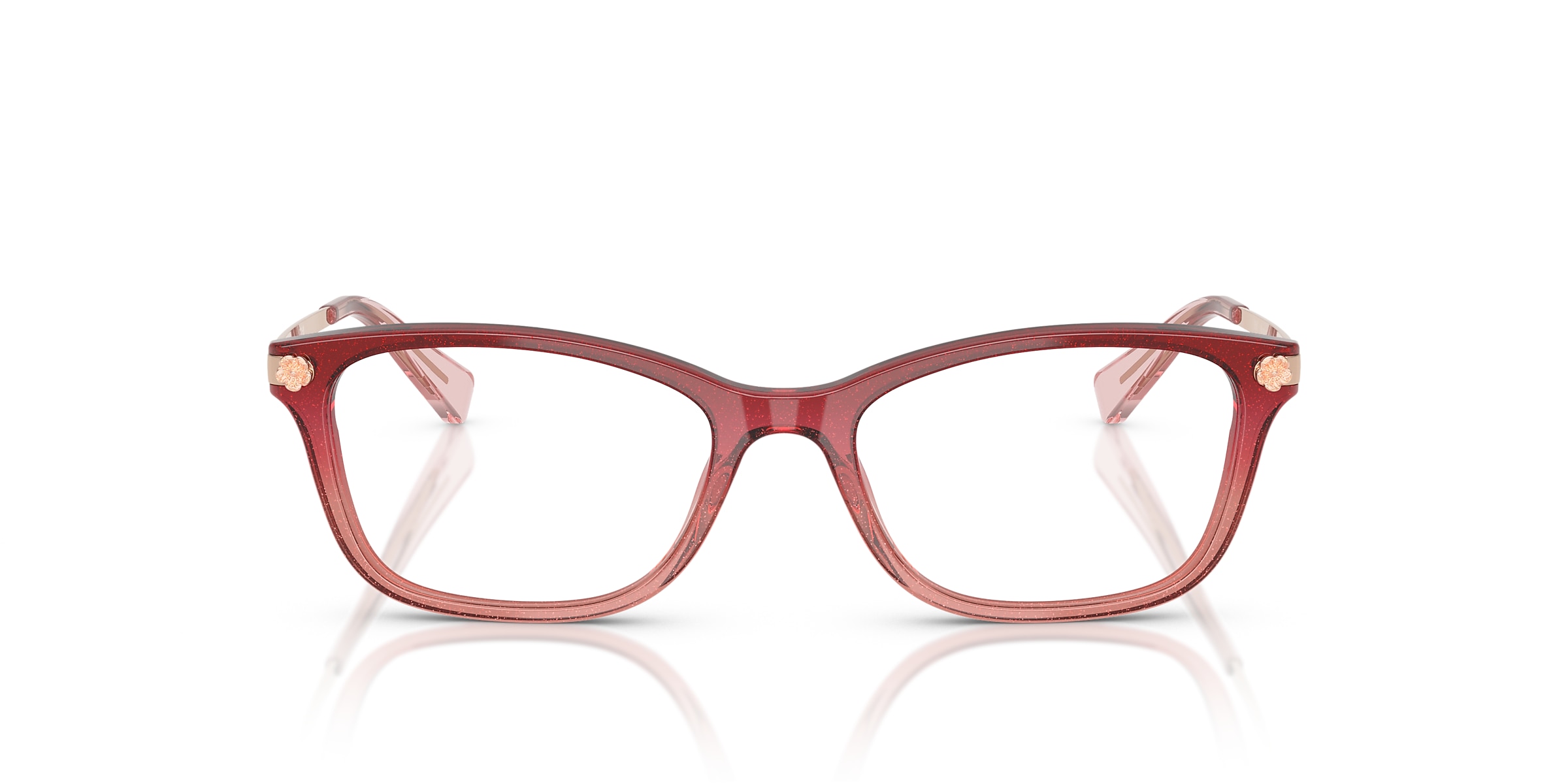 Coach Glasses HC6142