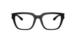 Diesel Glasses DL6001U