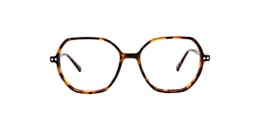 Clearly Glasses BRISTLECONE