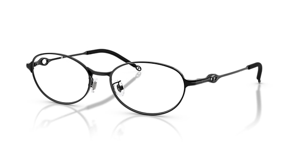 Diesel Glasses DL5004D