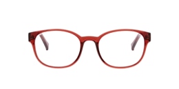 Clearly Glasses SUTHERLAND