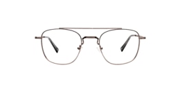 Clearly Glasses PLANTE